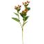Picture of 68cm HYPERICUM BERRY SPRAY ORANGE