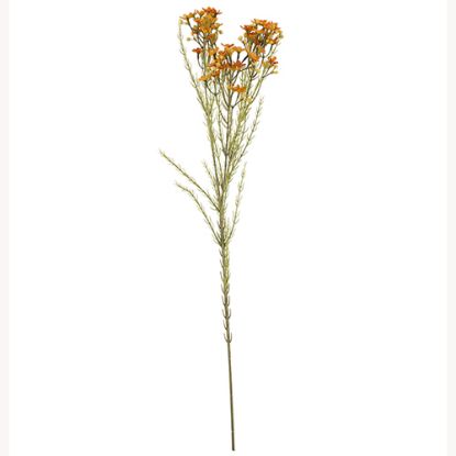 Picture of 79cm WAXFLOWER SPRAY DRY COLOUR ORANGE