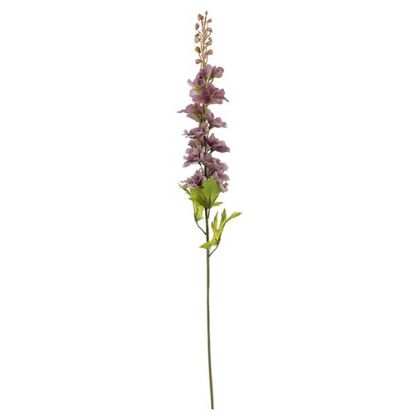 Picture of 79cm DELPHINIUM SPRAY DRY COLOUR MAUVE