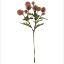 Picture of 56cm PLASTIC POMPOM DAHLIA SPRAY DRY COLOUR PINK