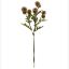 Picture of 56cm PLASTIC POMPOM DAHLIA SPRAY DRY COLOUR BROWN