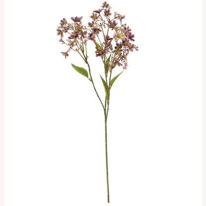 Picture of 72cm DAPHNE SPRAY DRY COLOUR MAUVE