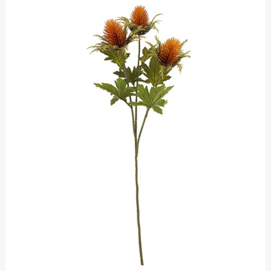 Picture of 67cm TEASEL SPRAY DRY COLOUR ORANGE