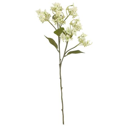 Picture of 62cm WILD HYDRANGEA SPRAY DRY COLOUR CREAM