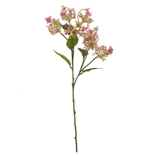 Picture of 62cm WILD HYDRANGEA SPRAY DRY COLOUR PINK