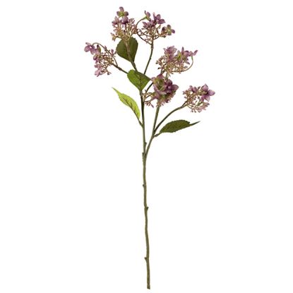 Picture of 62cm WILD HYDRANGEA SPRAY DRY COLOUR MAUVE