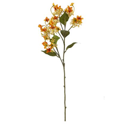 Picture of 62cm WILD HYDRANGEA SPRAY DRY COLOUR ORANGE