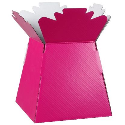 Picture of BOUQUET BOX GLOSSY FUCHSIA X 30pcs