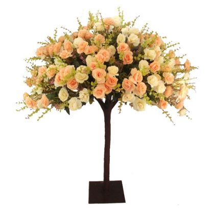 Picture of 90cm ROSE TREE PEACH/CREAM