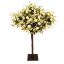 Picture of 85cm RANUNCULUS AND DAISY TREE IVORY