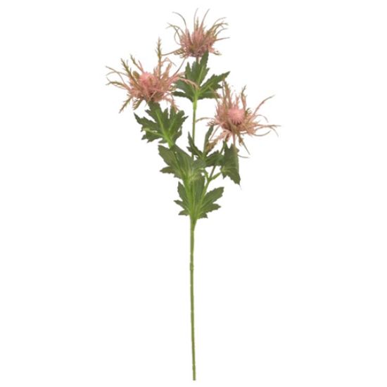 Picture of 67cm WILD ERYNGIUM (SEA HOLLY) SPRAY MAUVE