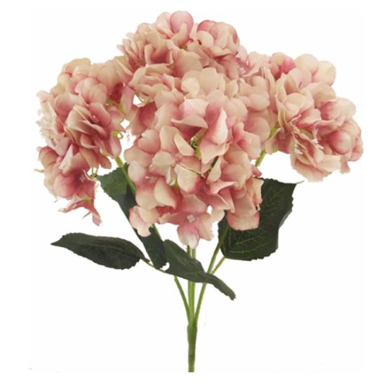 Picture of 45cm HYDRANGEA BUSH MAUVE/CREAM