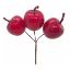 Picture of 15cm APPLE PICK RED X BUNDLE OF 3pcs