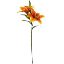 Picture of 66cm CHLOE LILY SPRAY ORANGE