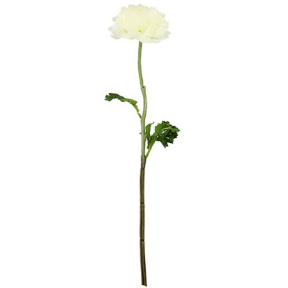 Picture of 51cm CHLOE SINGLE RANUNCULUS IVORY