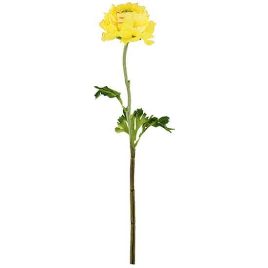 Picture of 51cm CHLOE SINGLE RANUNCULUS LEMON