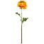 Picture of 51cm CHLOE SINGLE RANUNCULUS ORANGE