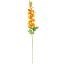 Picture of 79cm CHLOE DELPHINIUM SPRAY ORANGE