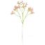 Picture of 70cm CHLOE GYPSOPHILA SPRAY VINTAGE PINK