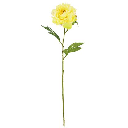 Picture of 77cm CHLOE LARGE BLOOMING PEONY LEMON