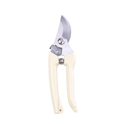 Picture of 17.5cm SECATEURS CREAM