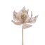 Picture of 25cm SINGLE POINSETTIA GOLD