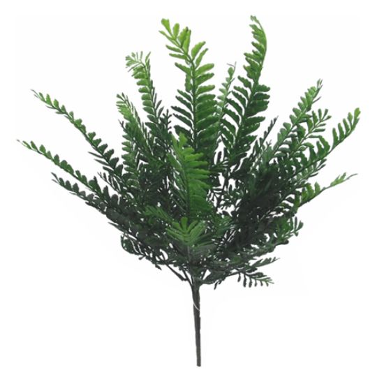 Picture of 45cm FERN BUSH GREEN