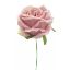 Picture of 27cm SINGLE OPEN ROSE VINTAGE PINK