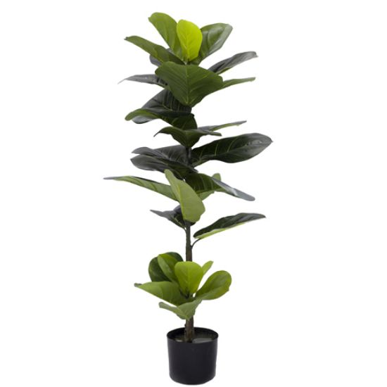 Picture of 110cm ARTIFICIAL FICUS PANDURATA TREE IN POT GREEN X 4pcs