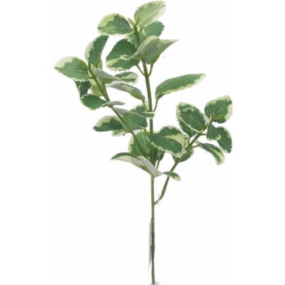 Picture of 31cm FLOCKED PATCHOULI LEAF SPRAY VARIEGATED