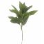 Picture of 32cm FLOCKED SAGE LEAF PICK GREY/GREEN