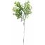 Picture of 65cm PLASTIC BERRY SPRAY IVORY
