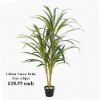 Picture of ARTIFICIAL POTTED FOLIAGE TREES GREEN - PALLET DEAL X 72pcs