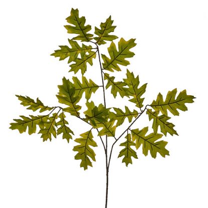 Picture of 68cm LARGE OAK LEAF SPRAY (15 LEAVES) GREEN/LIGHT GREEN X 12pcs