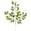 Picture of 60cm DELUXE FICUS BRANCH (42 LEAVES) VARIEGATED X 12pcs