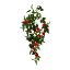 Picture of 60cm TRAILING MINI ROSE BUSH RED