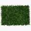 Picture of BOXWOOD TOPIARY MAT 60 X 40cm GREEN