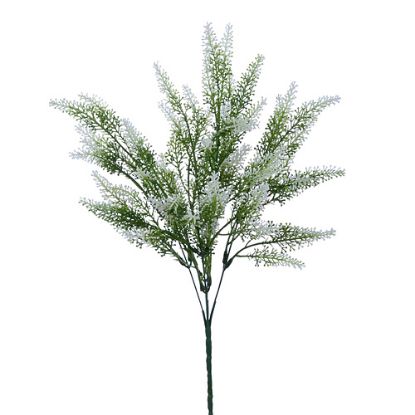 Picture of 39cm PLASTIC ASTILBE BUSH IVORY/GREEN