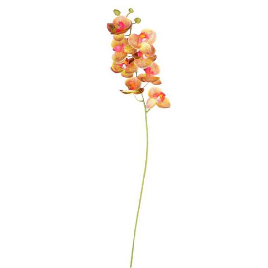 Picture of 75cm PHALAENOPSIS ORCHID SPRAY PEACH/PINK