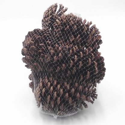 Picture of EXTRA LARGE PINE CONES IN NET BAG NATURAL X 250g