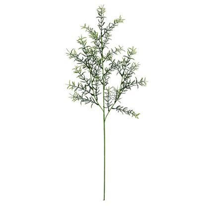 Picture of 75cm GARDEN SPRINGERI SPRAY DARK GREEN