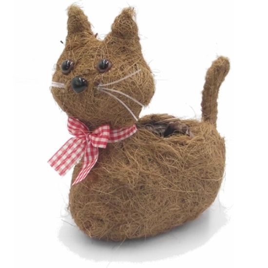 Picture of 25cm COCO FIBRE CAT PLANTER WITH PLASTIC LINING