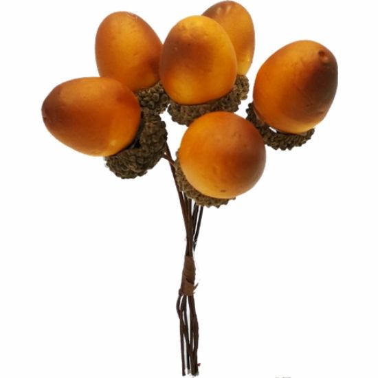 Picture of 15cm ACORN BUNDLE (6 STEMS) BROWN X 72 BUNDLES