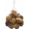 Picture of 4-6cm PINE CONES IN NET BAG NATURAL X 250g