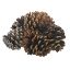 Picture of 9cm LARGE PINE CONES X 6pcs