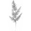 Picture of 69cm LARGE GLITTERED FERN SPRAY SILVER