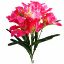 Picture of 64cm AMARYLLIS BUSH PINK