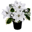 Picture of POINSETTIA BAUBLE AND HOLLY CEMETERY POT WHITE/SILVER