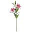 Picture of 86cm JAPANESE LILY SPRAY FUCHSIA x 24pcs