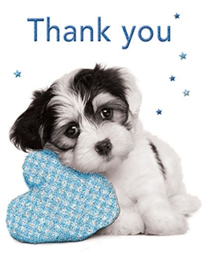 Picture of 10cm MINI GIFT CARD X 6pcs - THANK YOU PUPPY